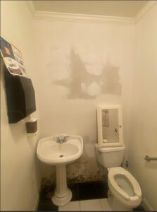 Restroom Repair